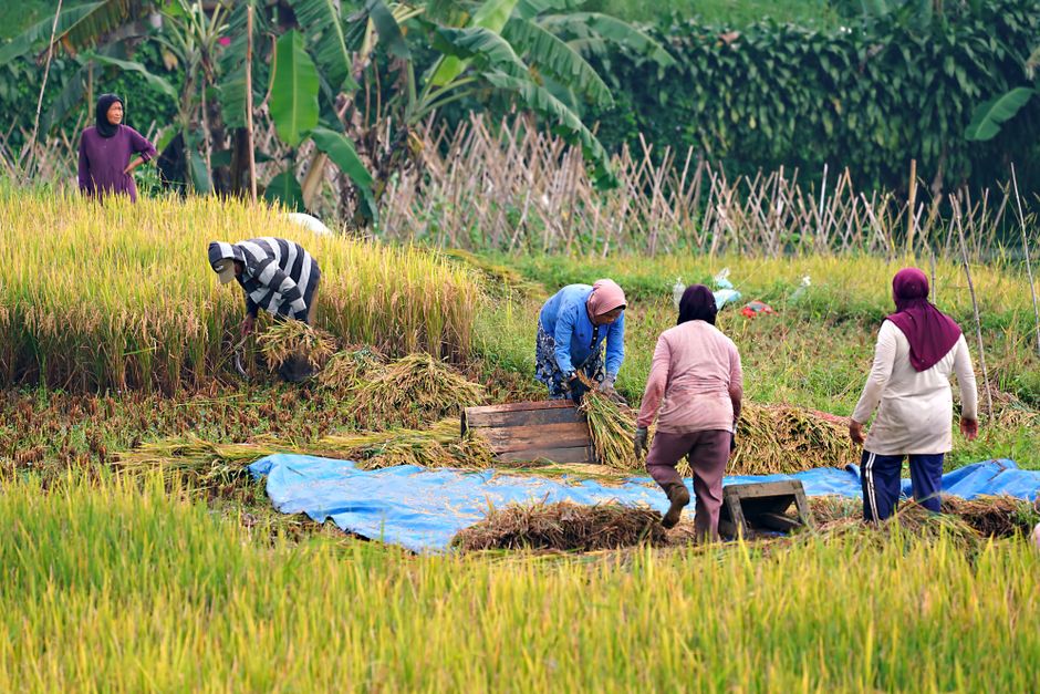 cara riset keyword bahasa indonesia untuk pasar luar negeri — ilustrasi 1